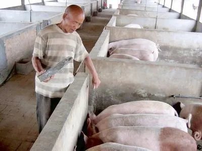 猪肉价格连续7周回落 ，肉贱会伤农吗？