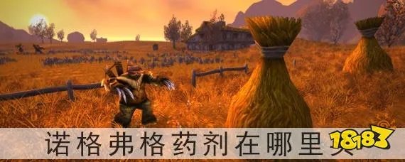 魔兽世界怀旧服诺格弗格药剂在哪里买