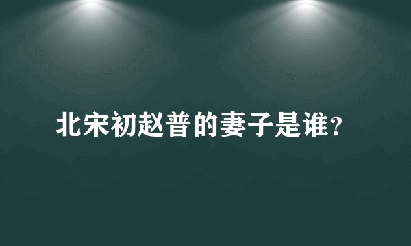 北宋初赵普的妻子是谁？