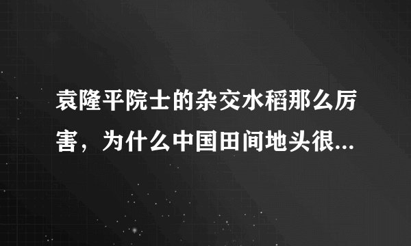 袁隆平院士的杂交水稻那么厉害，为什么中国田间地头很少看见？