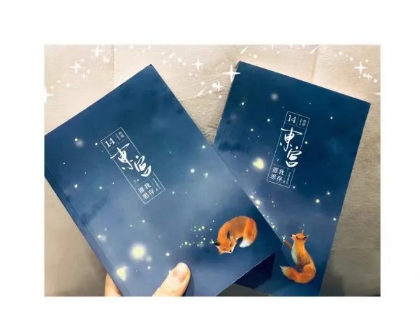 怎么评价《东宫》？