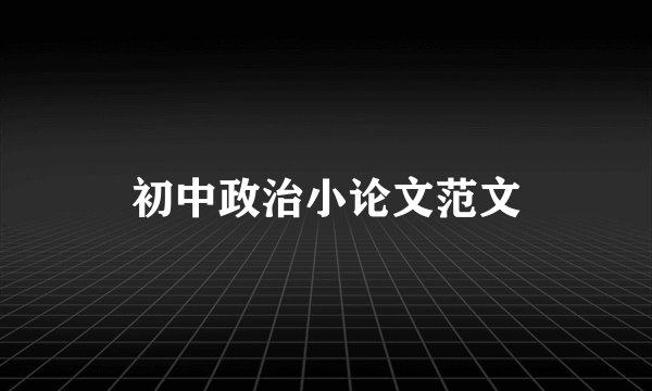 初中政治小论文范文