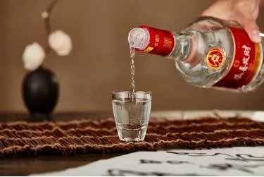 五粮液和茅台最大的区别是什么?
