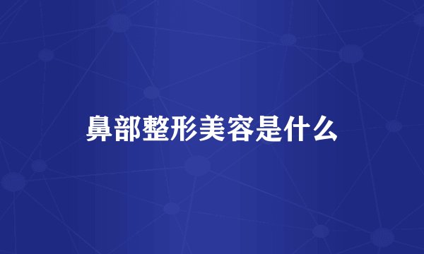 鼻部整形美容是什么
