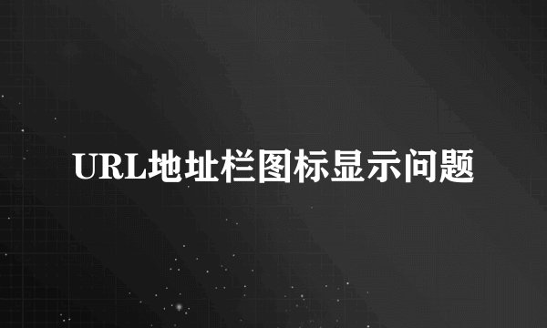 URL地址栏图标显示问题