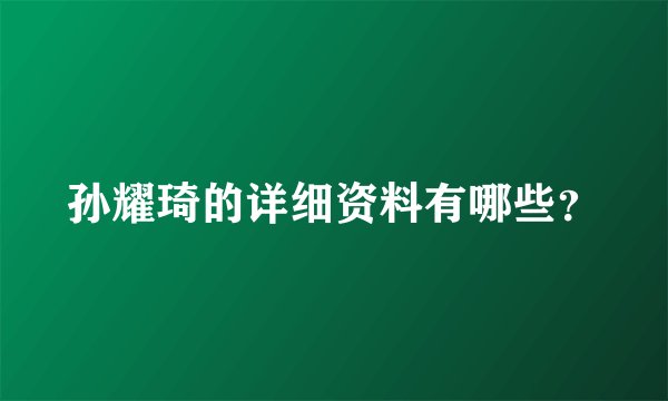 孙耀琦的详细资料有哪些?