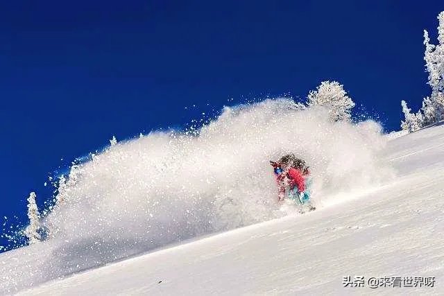 雪的密度很小,为什么雪崩会压死人?