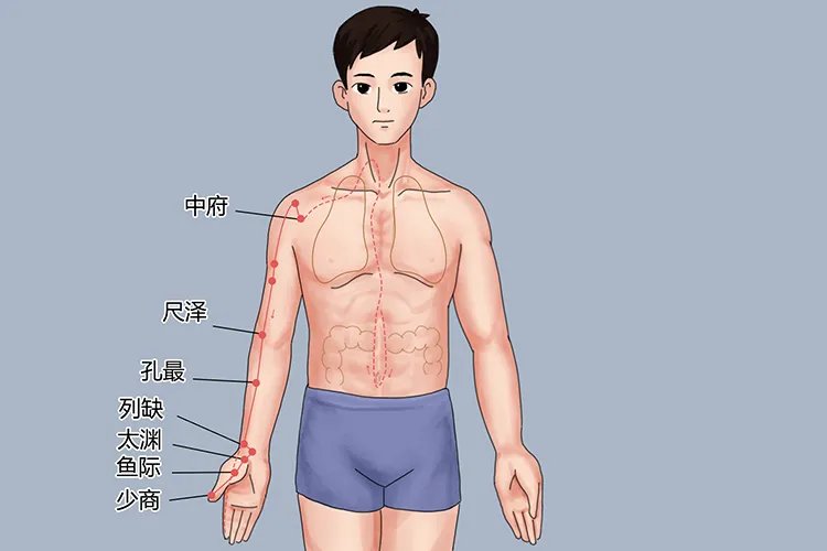 手腕上经络的准确位置图