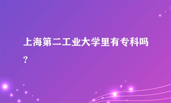 上海第二工业大学里有专科吗？