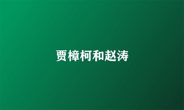 贾樟柯和赵涛