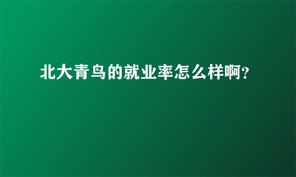 北大青鸟的就业率怎么样啊？