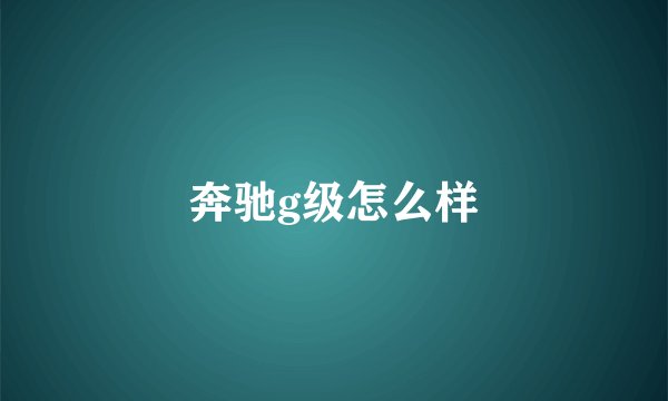 奔驰g级怎么样