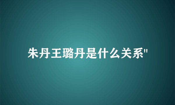 朱丹王璐丹是什么关系