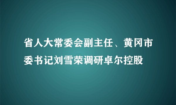 省人大常委会副主任、黄冈市委书记刘雪荣调研卓尔控股
