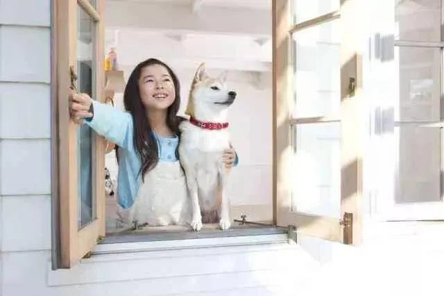 新家刚装修完不久,买台空气净化器除甲醛有用吗?