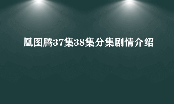 凰图腾37集38集分集剧情介绍