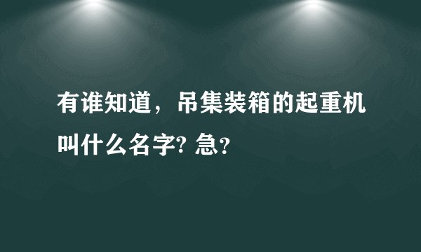 有谁知道,吊集装箱的起重机叫什么名字? 急?