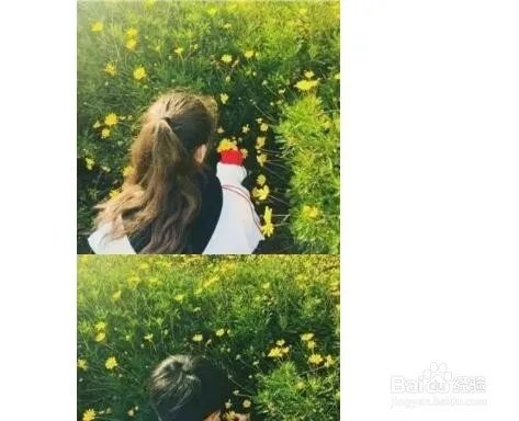 公众号排版?