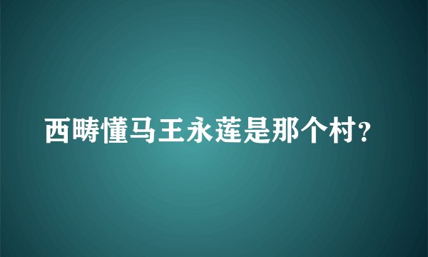 西畴懂马王永莲是那个村？