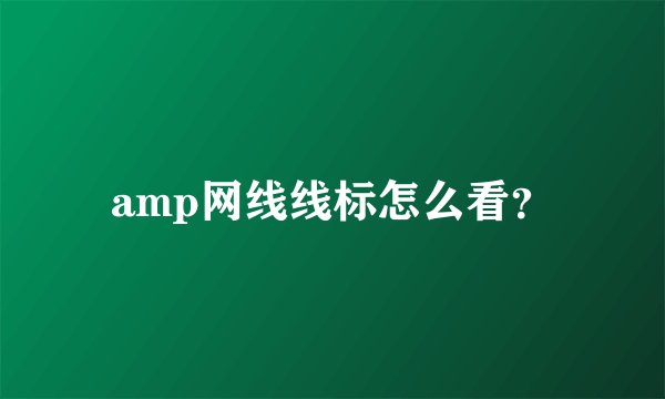amp网线线标怎么看？