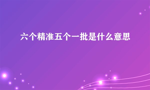 六个精准五个一批是什么意思