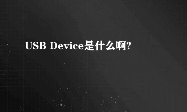 USB Device是什么啊?
