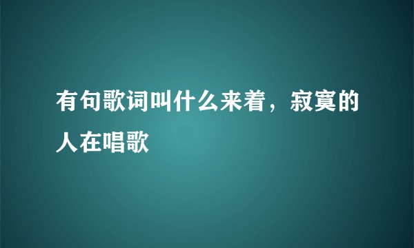 有句歌词叫什么来着，寂寞的人在唱歌