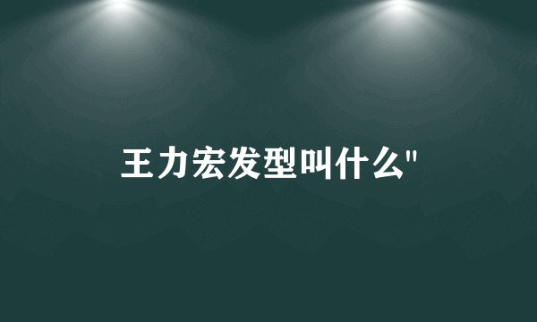 王力宏发型叫什么