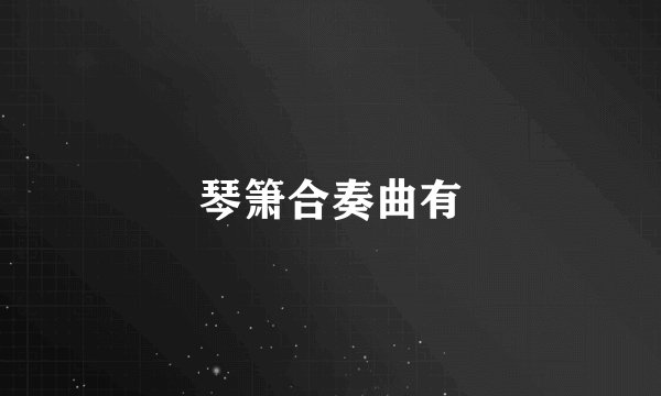 琴箫合奏曲有