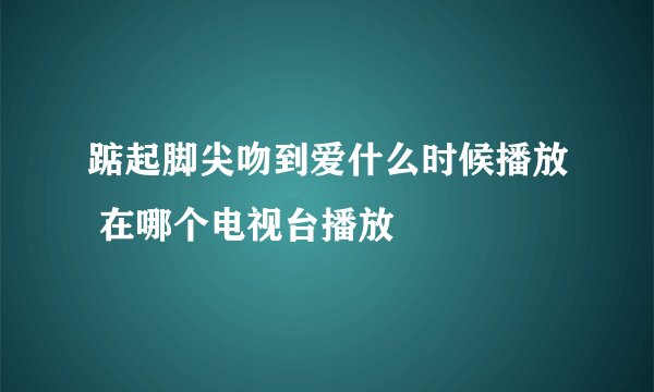 踮起脚尖吻到爱什么时候播放 在哪个电视台播放