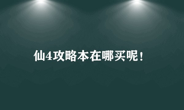 仙4攻略本在哪买呢！