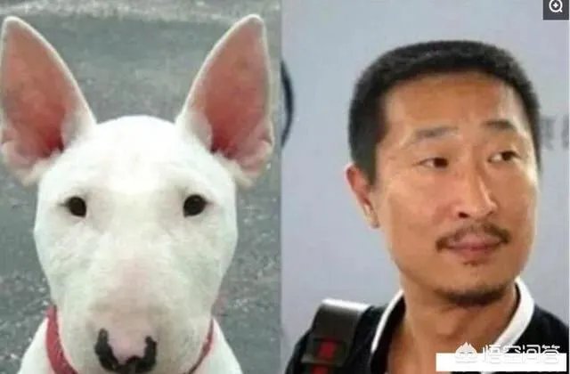 徐锦江回应撞脸“雷神”和“海王”,还有哪些中外明星的“撞脸”事件令人忍俊不禁?