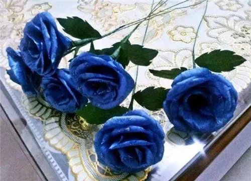 迷人的蓝色妖姬产地在哪里 蓝色妖姬繁殖方法