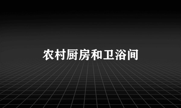 农村厨房和卫浴间