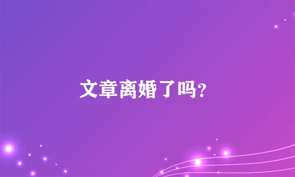 文章离婚了吗？