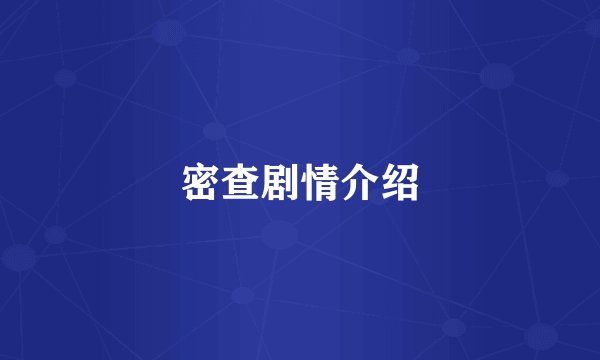 密查剧情介绍