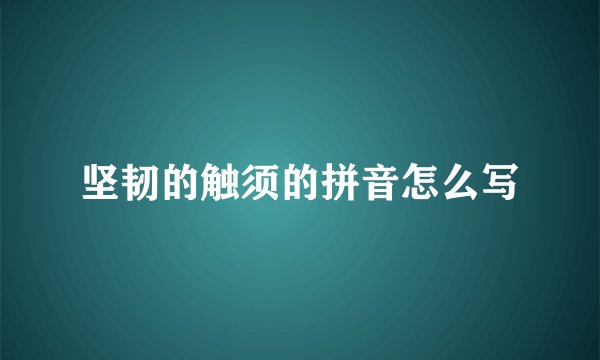 坚韧的触须的拼音怎么写