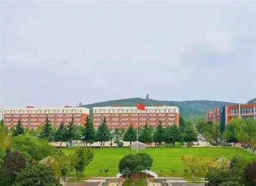 河南一职业学院将被司法拍卖一事引发热议，该校校长对此有何回应？