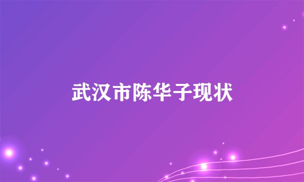 武汉市陈华子现状