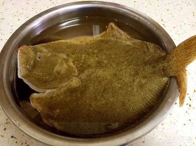 怎么挑选最鲜的海鲜?