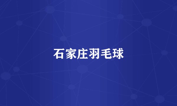 石家庄羽毛球