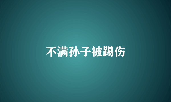 不满孙子被踢伤