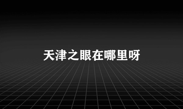 天津之眼在哪里呀