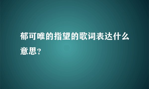 郁可唯的指望的歌词表达什么意思？
