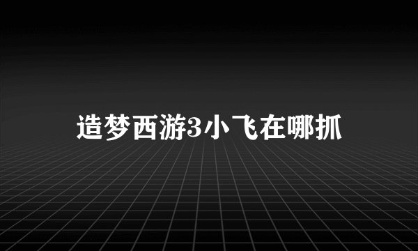 造梦西游3小飞在哪抓