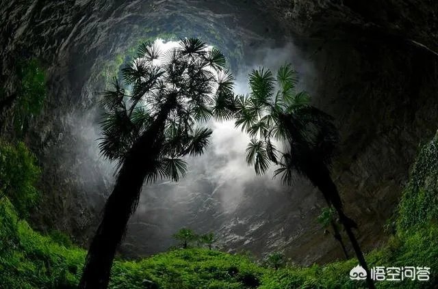 湖北哪里有天坑?