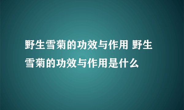 野生雪菊的功效与作用 野生雪菊的功效与作用是什么