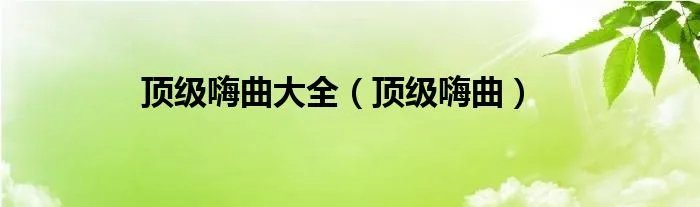 顶级嗨曲大全（顶级嗨曲）