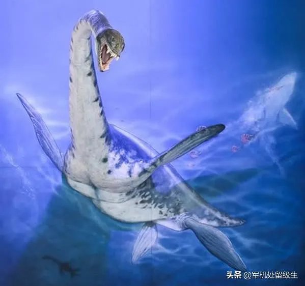 恐龙之最?