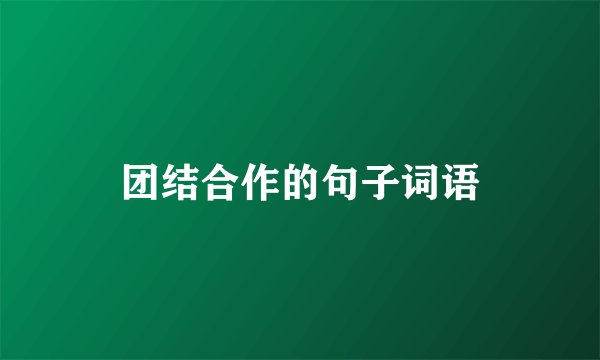 团结合作的句子词语